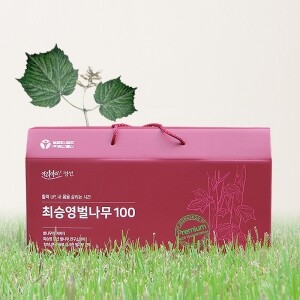 최승영 벌나무즙 100mlx30개